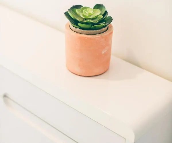 La Pomponnette Du Bassin Apartment