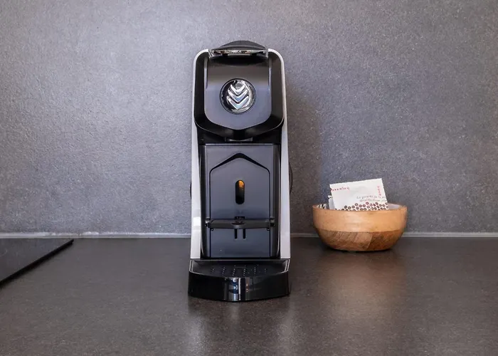 La Pomponnette Du Bassin